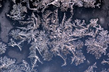 Jack Frost’s handiwork on my storm door window in northwest Sioux Falls.