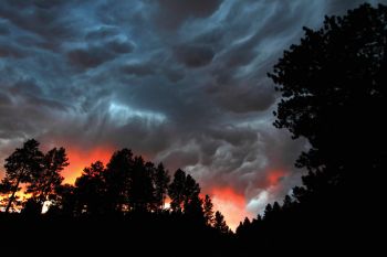 Storm clouds at sunset create a brilliant sky above the wildlife loop.