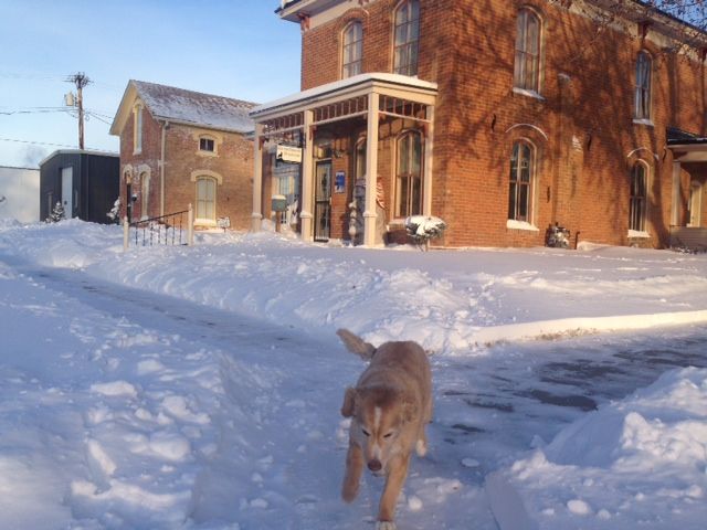 Even our office dog, Yeller, is ready for Spring.