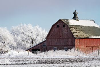 A red barn on a frosty day in rural Minnehaha County.